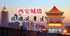 操外围视频中国陕西-西安城墙旅游风景区