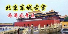 我想下载操逼视频中国北京-东城古宫旅游风景区