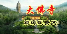 日女人的骚屄中国浙江-新昌大佛寺旅游风景区